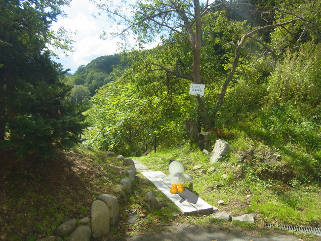 周辺探検